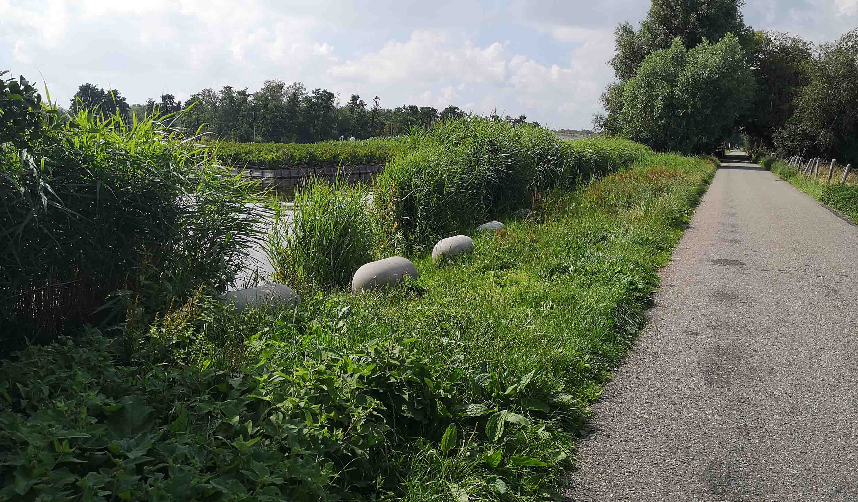 Cultuurverandering in de bodemsector noodzakelijk